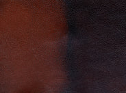 Signature Rossendale