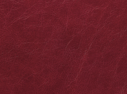 1-litre Colour Reviver for Aniline Leather