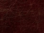 1-litre Colour Reviver for Aniline Leather