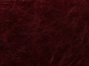 1-litre Colour Reviver for Aniline Leather