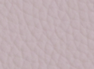 Signature Canterbury