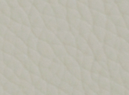 Signature Canterbury