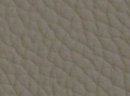 Signature Canterbury