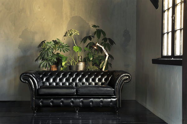 How to Spot a Quality Springvale Chesterfield Sofa