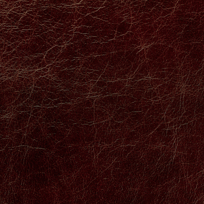 1-litre Colour Reviver for Aniline Leather