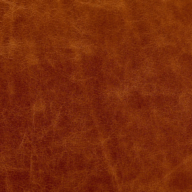1-litre Colour Reviver for Aniline Leather