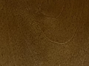 Signature Canterbury