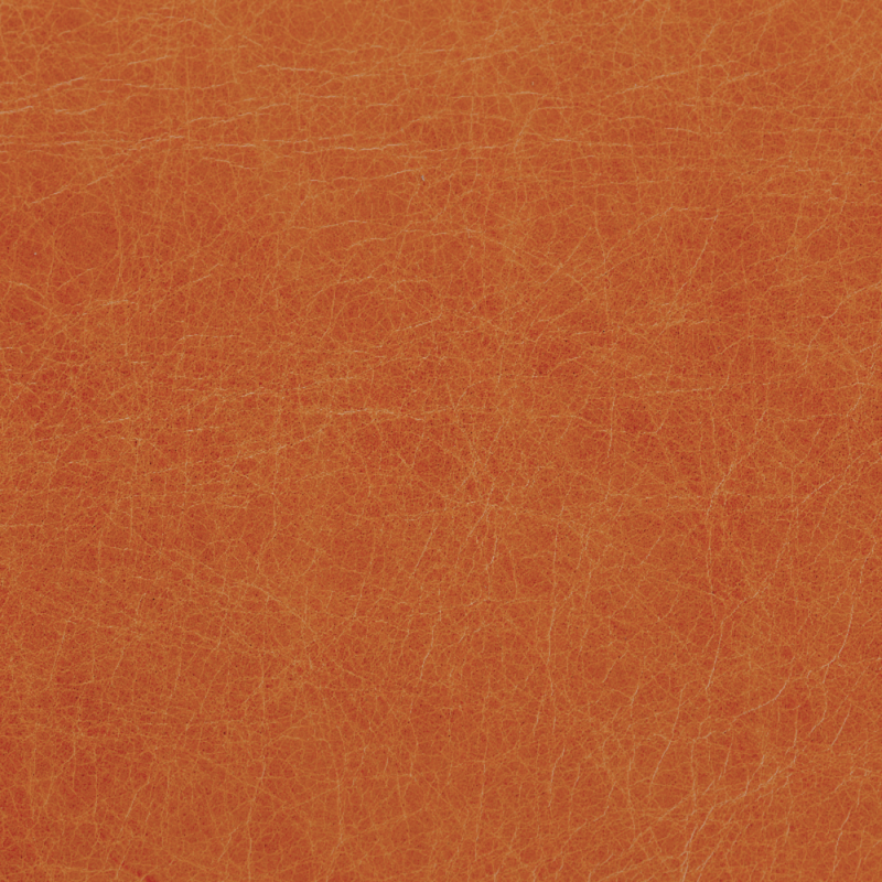 Orange Tan