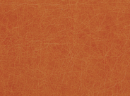 Orange Tan