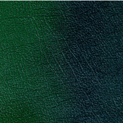 Leather, Antique leather, Green