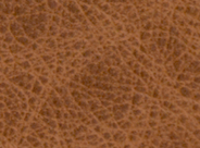 Saloon Leather